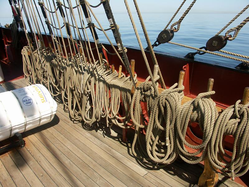 080508_Roald_Amundsen 432.jpg